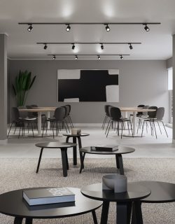 salon_multiuso-1